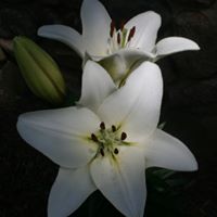 Katherine Pope Photo 23
