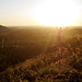 Jeremy Eggers Photo 7