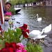 Ernie Swan Photo 6