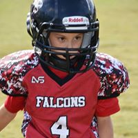 David Gomer Photo 10