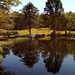 Isaac Ford Photo 10