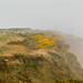 Cliff Bradley Photo 4