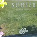 James Scheer Photo 11