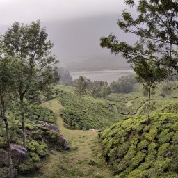 Sucharita Panda Photo 3
