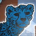 John Grider Photo 12