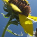 Jack Countryman Photo 9