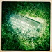 William Michaelis Photo 8