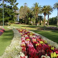 Dolores Brown Photo 26