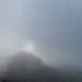 Susan Andes Photo 8