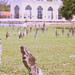 Mahmud Zaman Photo 13