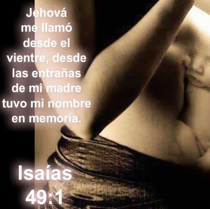 Rosa Barcelo Photo 13