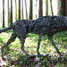 Sally Wolf Photo 11