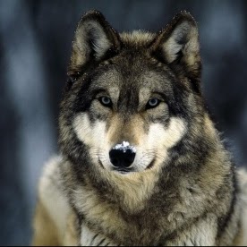 Eddy Calderon Photo 10