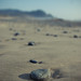 Carl Washburn Photo 6