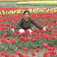 Sai Kulkarni Photo 3