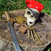 Michael Ye Photo 7