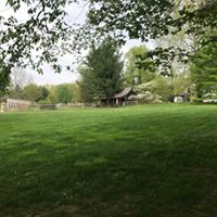 Lynn Graham Photo 22
