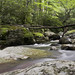 Virginia Bunch Photo 6