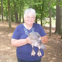 Mary Flynn Photo 9