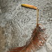 Grace Bent Photo 6