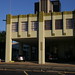 Griffin Jenkins Photo 6