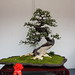 Chunlin Hu Photo 8