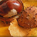 Edwin Chestnut Photo 2
