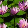 Mahavir Kothari Photo 8