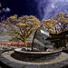 John Patin Photo 11