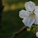Lisa Mcnamara Photo 5