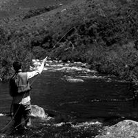George Robinson Photo 37