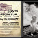 Jim Hayes Photo 6