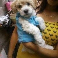 Nieves Acevedo Photo 12