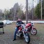 Cindy Casey Photo 36