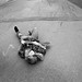 Timothy Ryan Photo 28