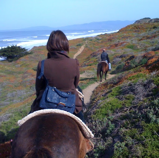 Karen Rice Photo 27