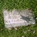 William Mcneel Photo 3