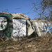 Lisa Crow Photo 12