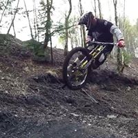Sean Mallett Photo 19