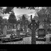 Joseph Drewry Photo 4
