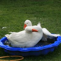 Sue Crompton Photo 9