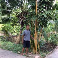Bau Nguyen Photo 27