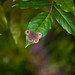 Daniel Baldus Photo 3