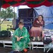 Iona Lawrence Photo 6