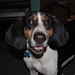 Brandon Coons Photo 7
