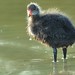 Richard Coots Photo 6