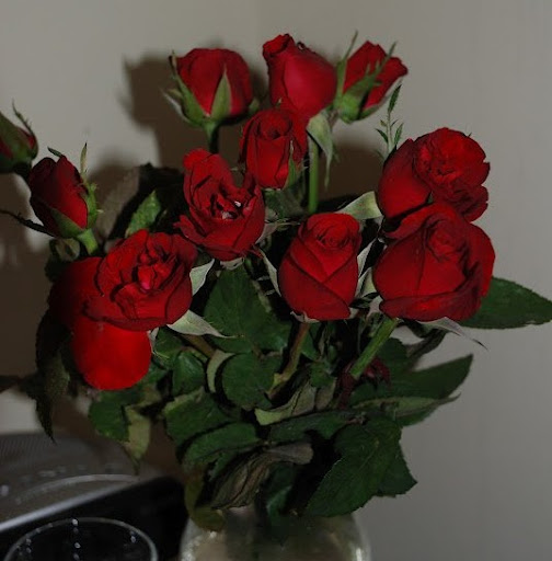 Sonia Giraldo Photo 16