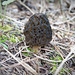 Christopher Morel Photo 9
