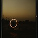 Dawn Belt Photo 5