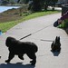 Scottie Mills Photo 10